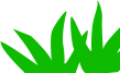 Gras